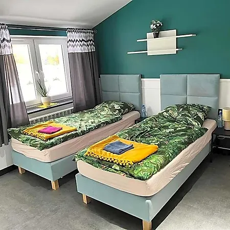 Проживание в семье Goscinne 