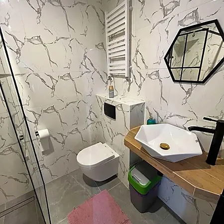 Проживание в семье Goscinne 