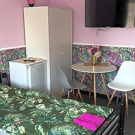 Проживание в семье Goscinne 